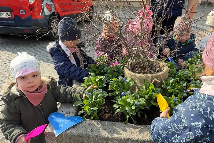 Pflanzen der Vergissmeinnicht